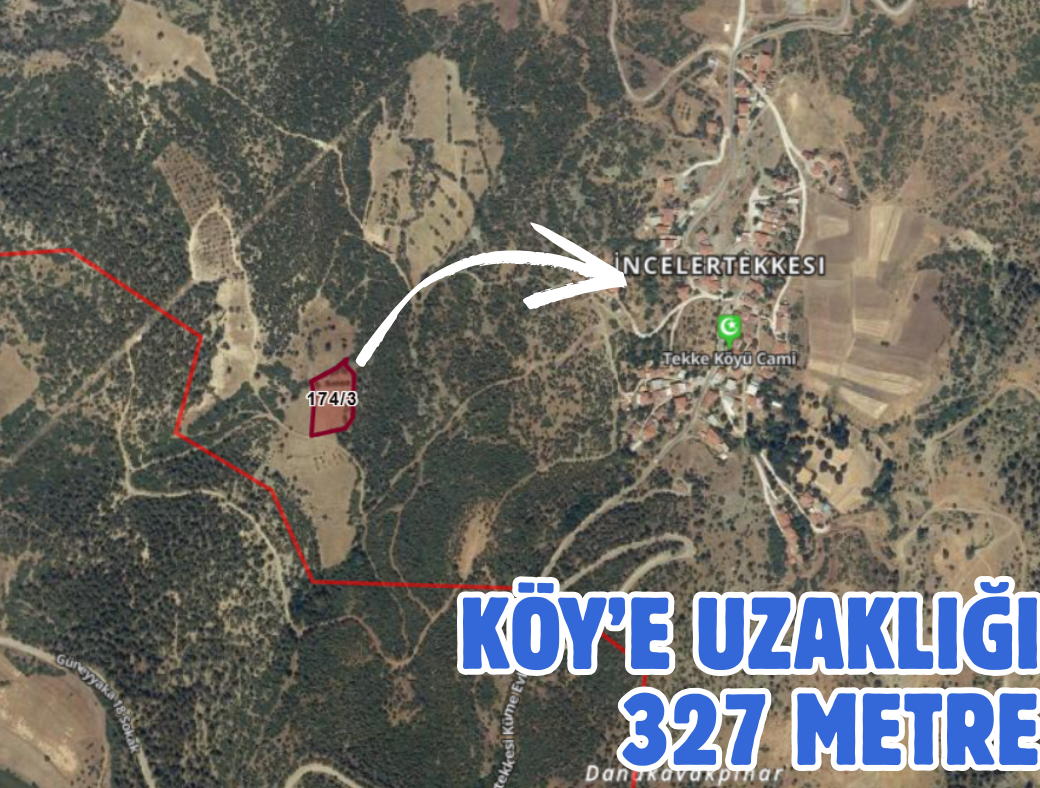 DENİZLİ BOZKURT İNCELER TEKKESİ 3.905 M² TARLAMIZ SATILIKTIR - DENİZLİ BOZKURT fotoğraf 2